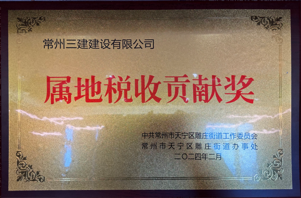 2024年属地税收贡献奖